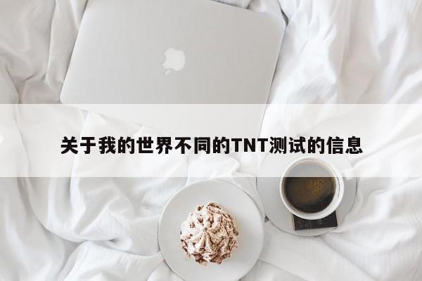 关于我的世界不同的TNT测试的信息